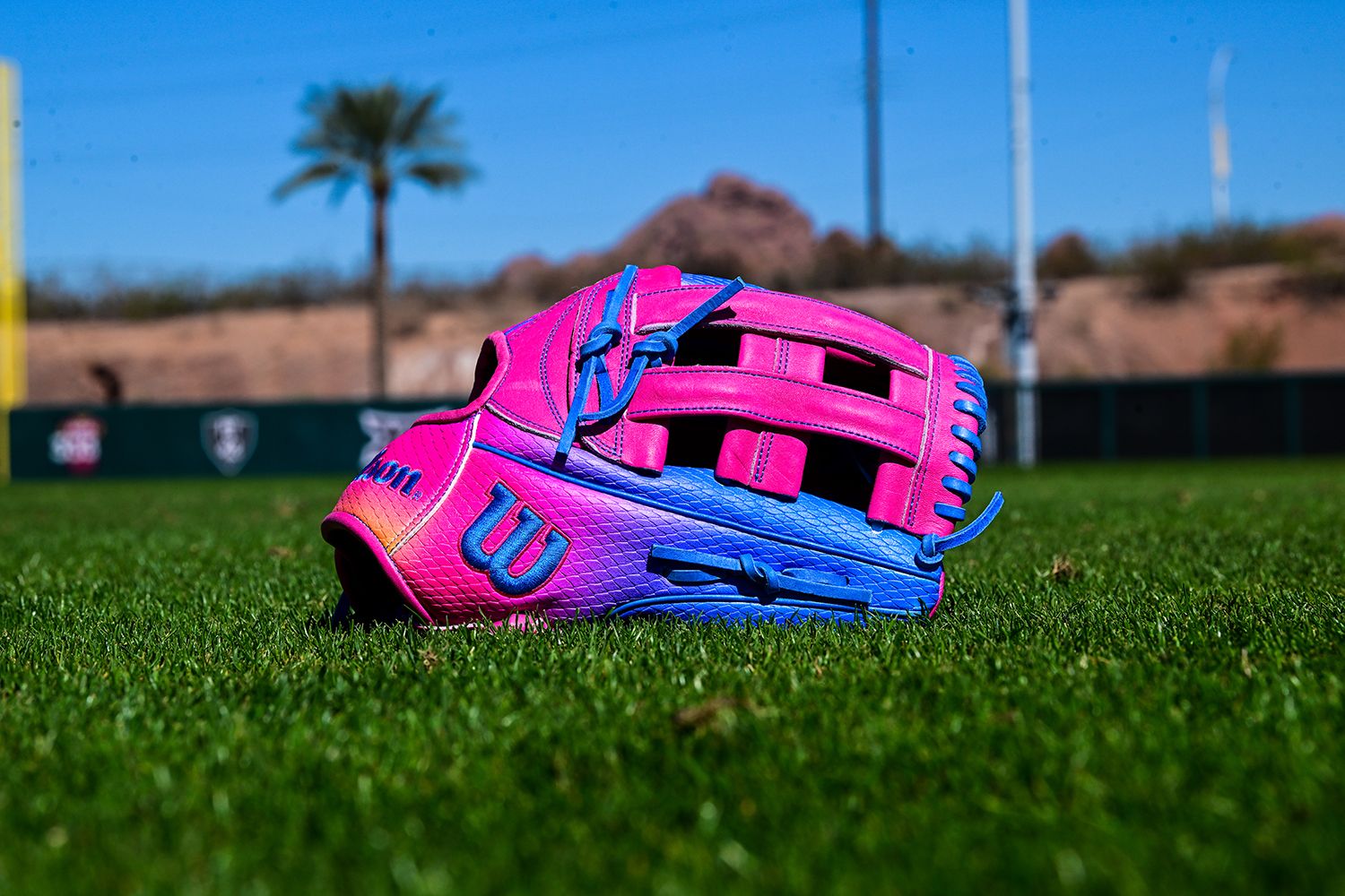 Wilson 12.75
